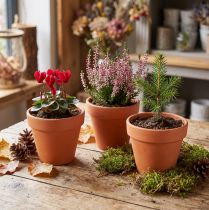 Artikel Blumentöpfe aus Ton Ø9cm Höhe 8cm Terrakotta 10 Stück