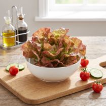 Artikel Künstlicher Salatkopf Lollo Rosso Dekoration Ø20cm Kunststoff Rot-Grün