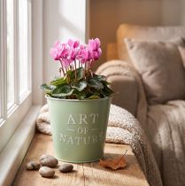 Artikel Blumentopf Zink Mintgrün Ø15cm Höhe 13,5cm mit Prägung „Art of Nature“