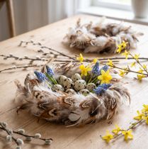 Artikel Federkranz Ø15 cm 4 Stück Naturfarben Vogelfedern für Dekoration und Basteln