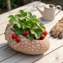 Artikel Deko-Erdbeere aus Beton, Pflanztopf, L17 cm, Rot/Grau