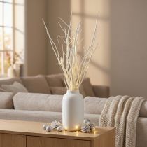 Artikel Mitsumata Zweige Holz Weiß 34-60cm 12 Stück Dekoration