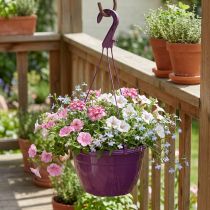 Artikel Blumenampel Kunststoff Ø25cm Lila mit Haken