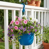 Artikel Blumenampel Kunststoff Blau 25cm für Außenbereich
