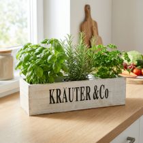 Artikel Pflanzkasten Holz Weiß 36×12×10cm mit Kräuter-Aufschrift