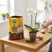 Artikel Orchideenerde mit Pinienrinde 5 Liter Substrat für Orchideen