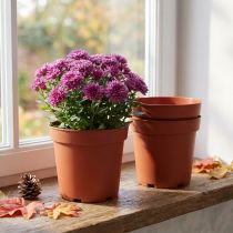 Artikel Pflanztopf Kunststoff Ø17cm Terrakotta 10 Stück