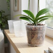 Artikel Pflanztöpfe für Orchideen Kunststoff Ø12cm Transparent 10 Stück