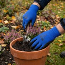 Artikel Gartenhandschuhe Nylon mit Kunststoffbeschichtung Blau-Schwarz Gr.10 für Gartenarbeiten