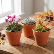 Artikel Blumentopf aus Terrakotta Ø 6 cm Höhe 5 cm 10 Stück