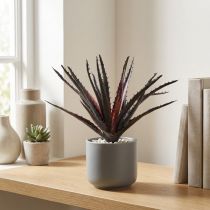 Artikel Aloe Vera künstlich Lila 26cm mit flexiblem Stecker