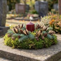 Artikel Naturdeko Wildlilie Trockenblume 6-8 cm, Naturfarben, 50 Stück
