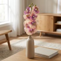 Artikel Orchidee Phalaenopsis künstlich 7 Blüten Real-Touch 73cm Violett Creme