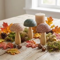 Artikel Holz-Deko-Pilze sortiert 11×7,5 cm in Herbstfarben, 3 Stück