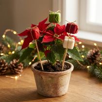 Artikel Blumenstecker Weihnachtsgeschenk 2,5 cm aus Holz, Rot, Grün, Weiß, 15 Stück
