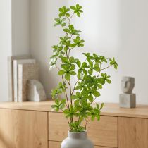 Artikel Künstlicher Zweig Schefflera aus Kunststoff und Polyester 95cm Grün für Wohnräume