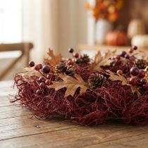 Artikel Tamarindenfaser weinrot 500g – Naturdeko für Floristik und Wohnraumgestaltung