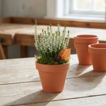 Artikel Blumentopf aus Ton Ø8 cm, H 7 cm, Terrakotta, 10 Stück