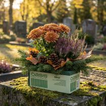 Artikel Nass-Steckschaum Dunkelgrün 23 x 11 x 8 cm für Frischblumen