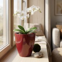 Artikel Orchideentopf Kunststoff Bordeaux Ø12,5cm Höhe 17cm
