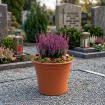 Artikel Blumentopf Kunststoff Terrakotta Ø15cm H13cm für Innenräume