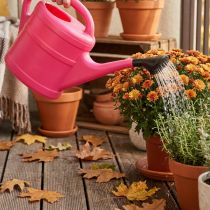 Artikel Gießkanne Kunststoff Pink 5 Liter mit Brause für Garten und Balkon
