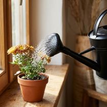 Artikel Gießkannenbrause aus Kunststoff Schwarz Ø8 cm für 5-Liter-Gießkannen