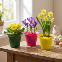 Artikel Blumentopf Kunststoff Blütenform Ø10,5cm bunt 25 Stück