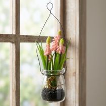 Artikel Traubenhyazinthe künstlich Rosa im Glas mit Drahtschlaufe 16cm