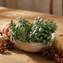 Artikel Künstlicher Eukalyptus zum Stecken 18 cm Grün-Rot 4 Stück