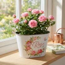 Artikel Pflanzgefäß Kunststoff mit Rosendekor 19x12x12,5cm Weiß