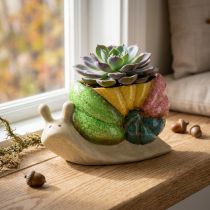 Artikel Deko-Schnecke Keramik Pflanztopf 19×8,5×11cm Bunt für Wohnbereich und Balkon