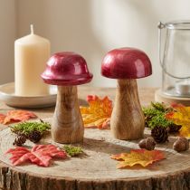 Artikel Holz-Deko Pilze Ø6cm H10cm Rot Glänzend 2er-Set