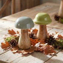 Artikel Deko Holzpilze Ø6 cm H10 cm 2er-Set Grau Grün für Innenbereich