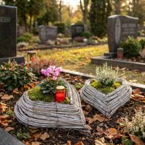 Artikel Pflanzherz Rattan Reben in Natur Weiß 13cmx14cm 2St
