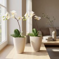 Artikel Orchideentopf Kunststoff Beige Meliert 13,5 x 13 x 16,5 cm 2er-Set