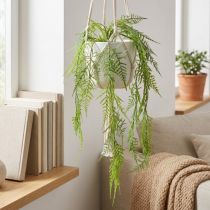 Artikel Künstlicher Asparagus Hängepflanze 75 cm Grün aus Kunststoff für Wohnraumdekoration