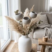 Artikel Trockenblumen Bell Cups am Stiel Grau 37cm 3 Stück
