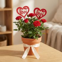 Artikel Blumenstecker Herz Holz Rot und Weiß 7cm Love 12 Stück