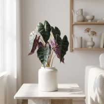 Artikel Alokasie Kunstpflanze Pfeilblatt Grün-Violett 48cm mit 9 Blättern