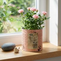 Artikel Blumentopf Metall Deko-Dose Ø15,5cm H15cm Lachs Rostoptik