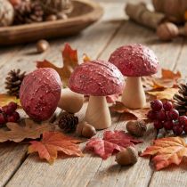 Artikel Deko Holzpilze 5x6 cm Rot Naturoptik 9er-Set Herbstdekoration Innenbereich