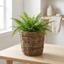 Artikel Pflanzkorb aus Rebe mit Folie rund Ø19cm Braun