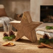 Artikel Holzstern aus Mangoholz Ø 20 cm Natur