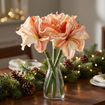 Artikel Künstlicher Ritterstern Amaryllis 40cm Weiß Rot Orange 3 Stück