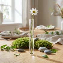 Artikel Reagenzglas Glasvase 100×10 mm für Blumen und Ableger