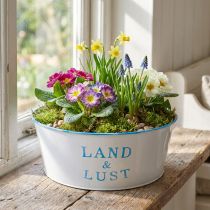 Artikel Metall Blumenschale Weiß-Blau Rund 25×10 cm Pflanztopf