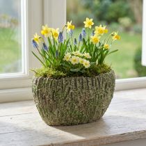 Artikel Übertopf aus Beton oval 24×14×13cm Antik-Look Grün Braun