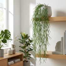 Artikel Deko-Ranke künstlicher Korallenkaktus Rhipsalis Grün 120 cm