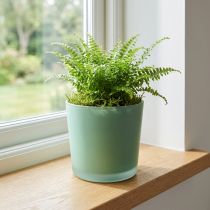 Artikel Glas-Blumentopf Mintgrün Ø11,5 cm H11 cm für Zimmer- und Balkondekoration